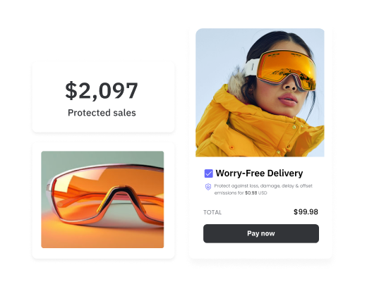 shipping-protection-product-value