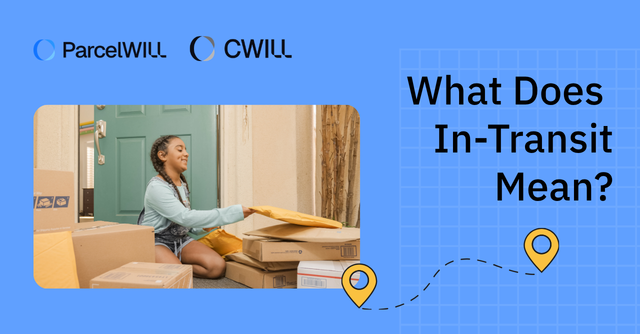 what does in transit mean