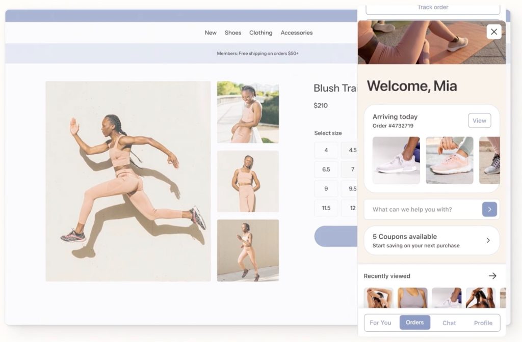 Klaviyo Customer Hub Works With Shopify Accounts